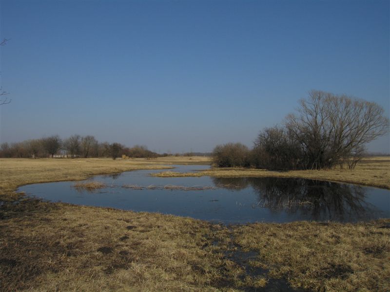 Der Frhling kommt - Bild DI Alfred Steiner