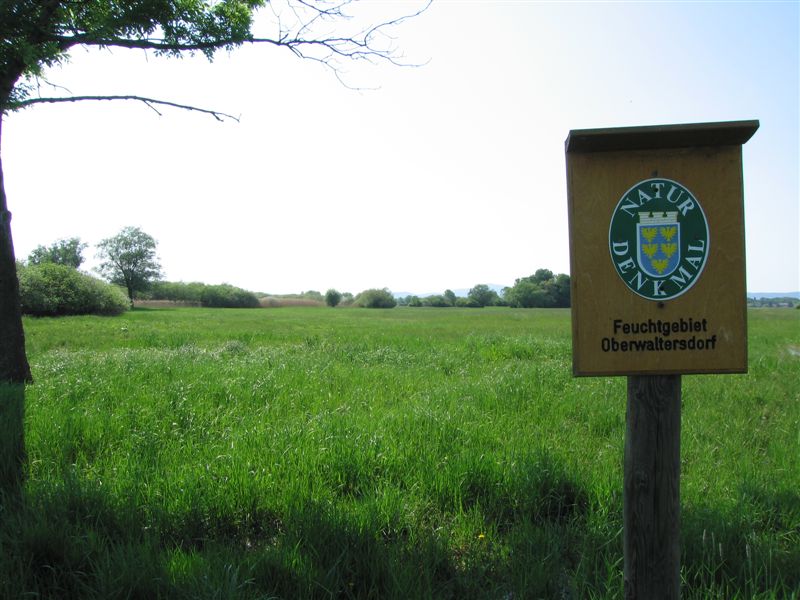 Naturdenkmal - Foto DI Alfred Steiner